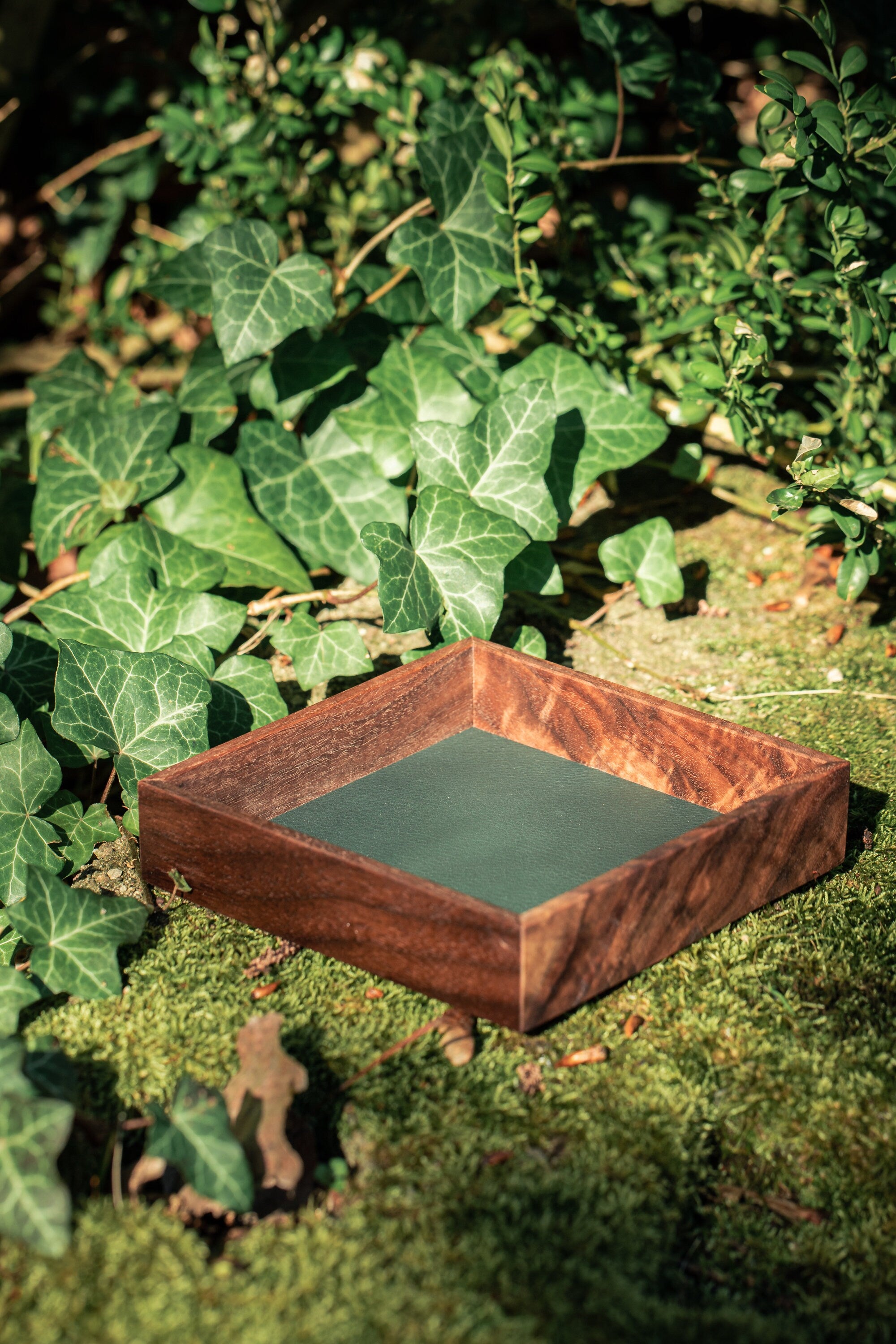 Black Walnut Dice Tray