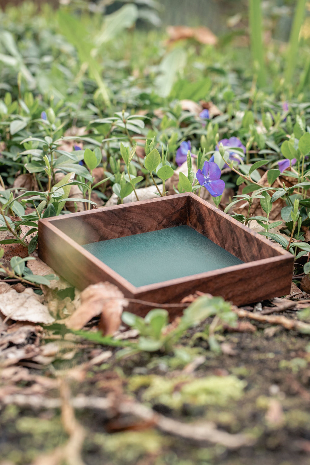 Black Walnut Dice Tray