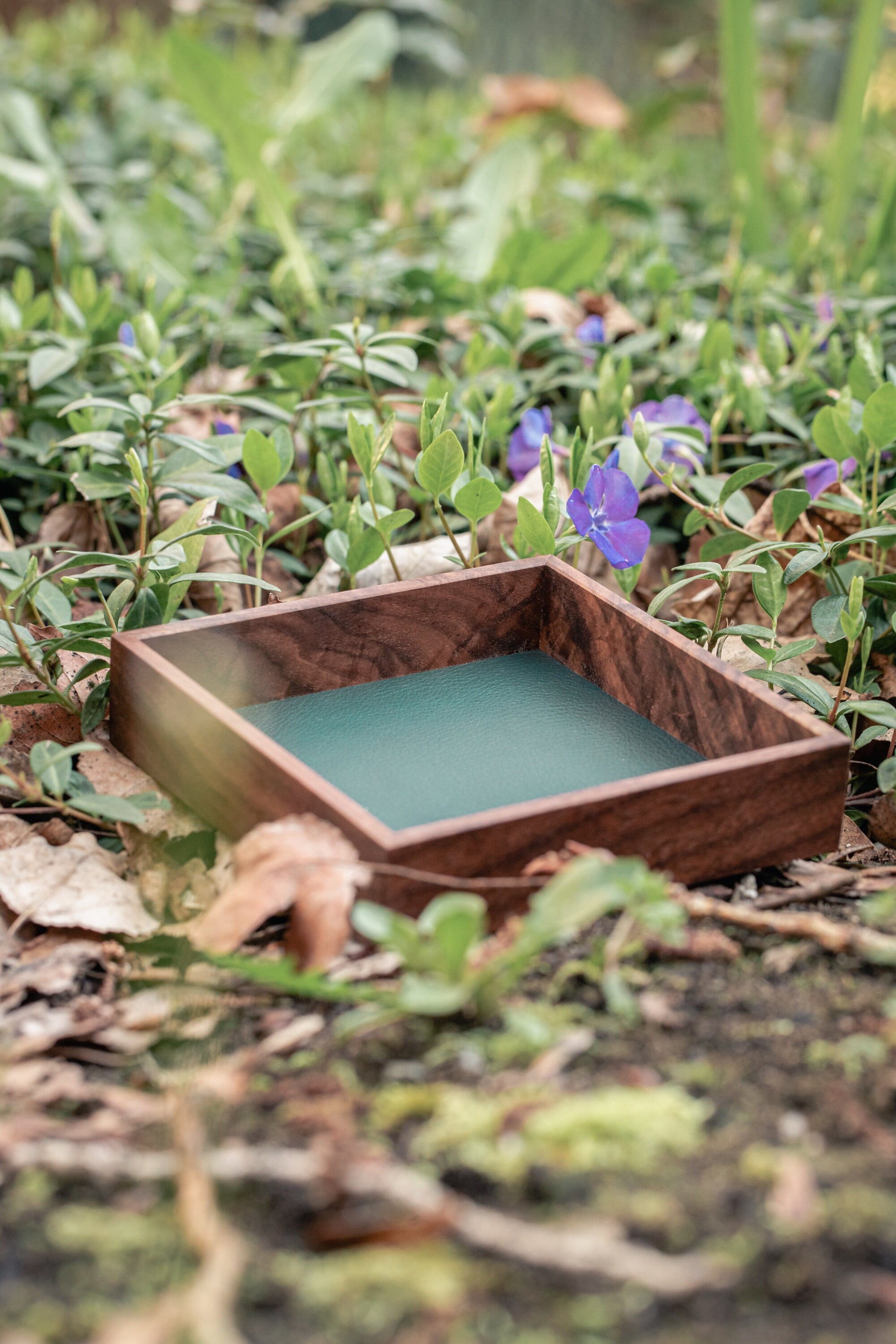 Black Walnut Dice Tray