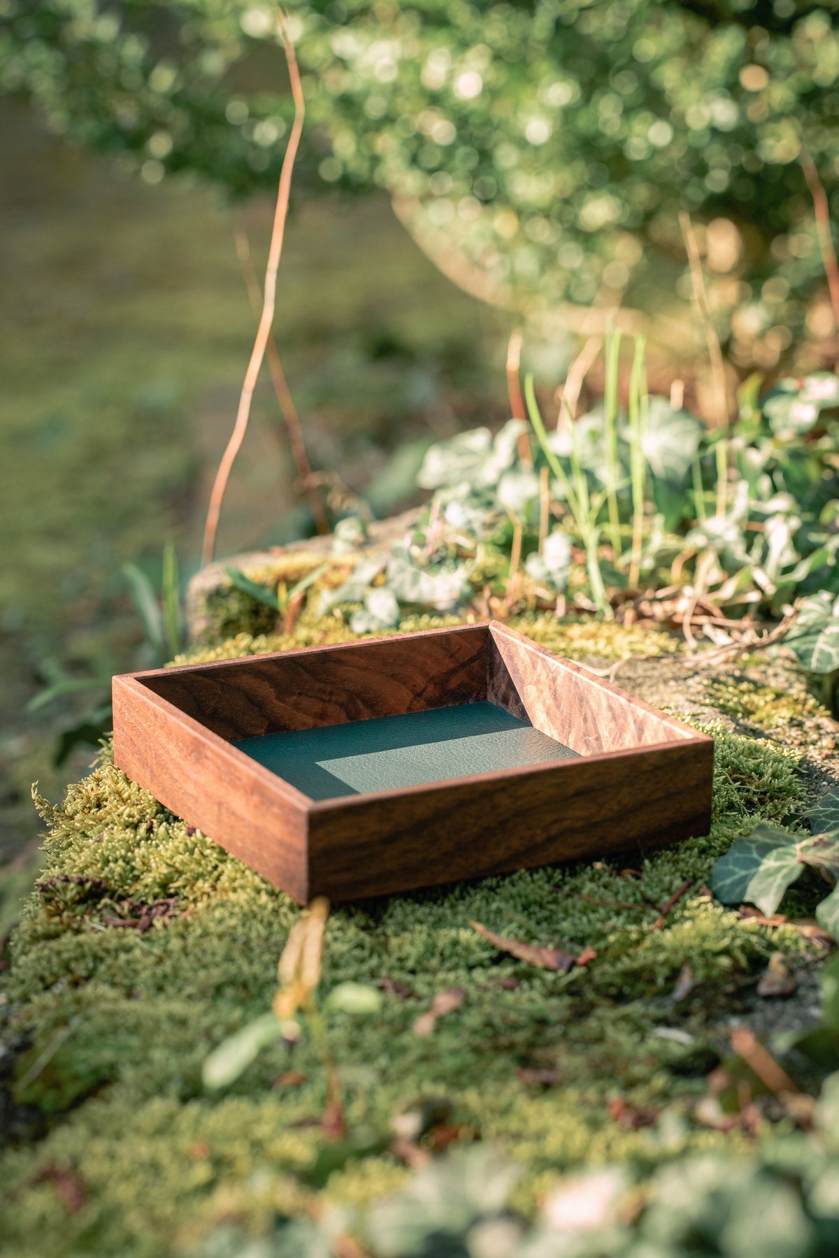 Black Walnut Dice Tray
