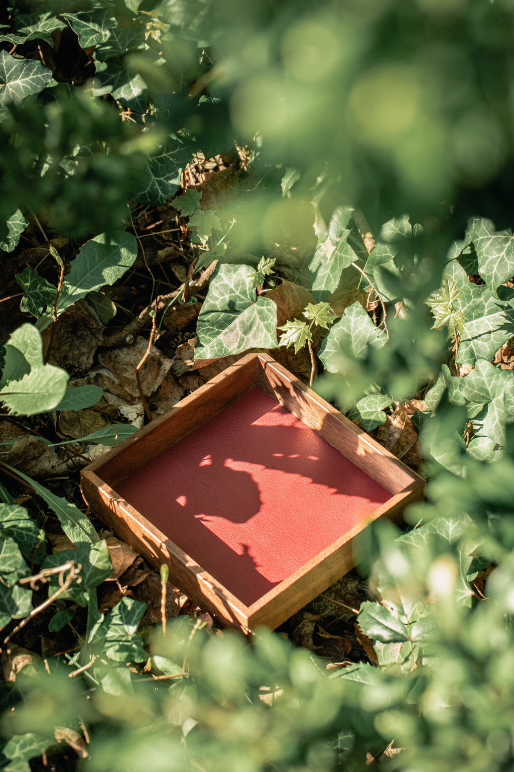 Black Walnut Dice Tray