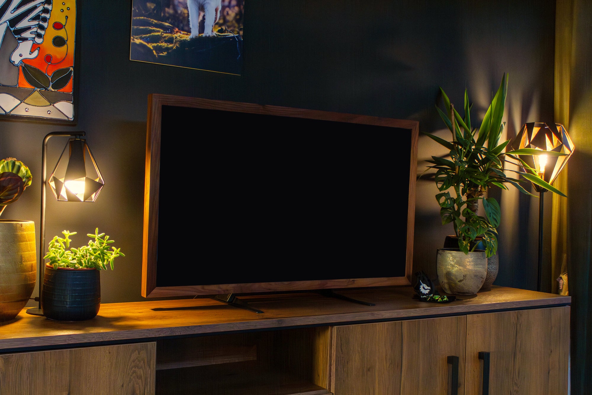 The Dungeon Display - With TV Stand Addon