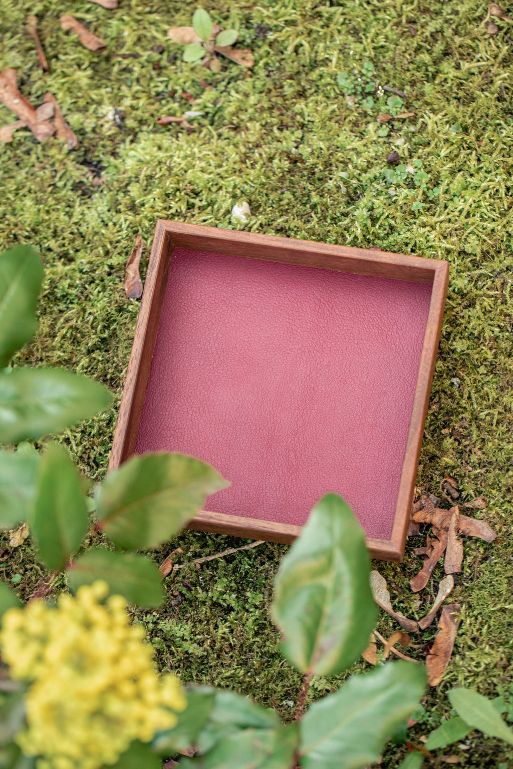 Black Walnut Dice Tray